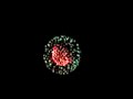 4th of July firworks 2007 in Kentucky