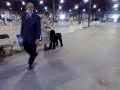 Black Russians @ Baltimore -- Puppy Bitches