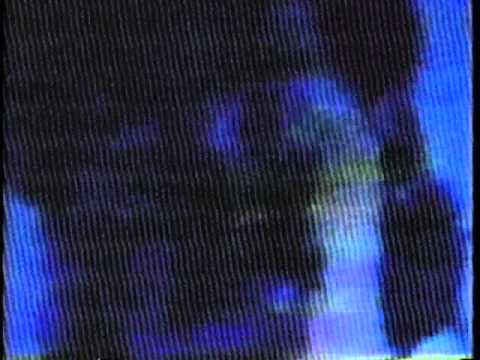 Buzz - 2 - Fear