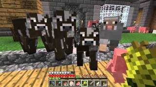 Etho MindCrack SMP - Episode 74: Overstocked Pet Shop