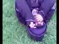 videos de Tripz Is Stupid!!!!