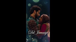 Dil jaaniye whatsapp status  Dil janiye whatsapp s