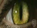 Catwoman - Nine Lives To Live