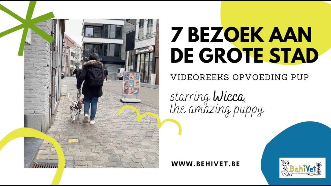 7 Kennismaking met de stad