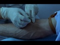 Click here to watch this video Death in Son frere: Video Essay - The Seventh Art: Issue 4, Section 4