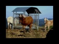paysages sur chanson francaise