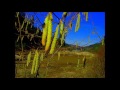 paysages sur chanson francaise