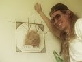 Roadkill Ricky