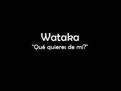 rosas dibujadas con letras - Videos | Videos relacionados con rosas ...