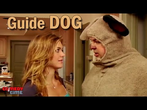 Roscoe the Party Dog: Guide Dog