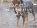 mariano osorio - carta de un  perro viejo a su amo