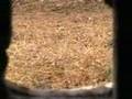 Assistir ao v�deo