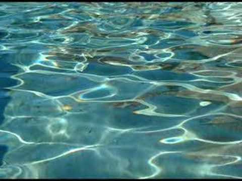 Meditation: Travelling the Sacred Sound Current