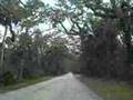 Old Dixie Road Anew