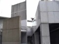 Adrenaline (parkour)