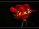PUDRETE-BANDA MS