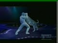 Roy Horn Tiger Attack