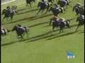 きさらぎ動画6