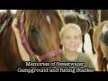 Sweetwater Memories 2
