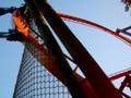 videos de SheiKra - Busch Gardens Tampa Bay