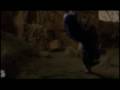 videos de Dawn