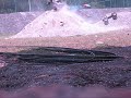 traxxas revos 3.3 jumping and playing around part 3