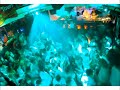 Naksi vs Brunner & Dj Manian @ Palace Siofok (mobile video)