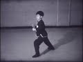 Taichi Mantis LanChi