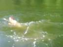 Sam jumps in the river naked! Sam jumps in the river naked!