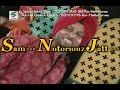 Panjeb - Veer Sukhwant & Miss Pooja {Paarty}