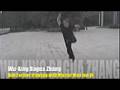 videos de Wu-Xing Bagua zhang pt3