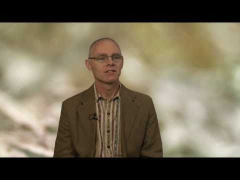 Adyashanti Video: Why Am I Looking for Enlightenment?