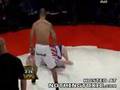 Butterbean loses