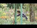 Video of the day | Museum of Impressionism in ...