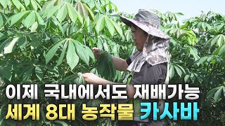 농촌진흥청 청년농업인TV