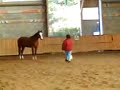 défoulage de mon dada chiwi défoulage de mon dada chiwi