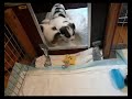 Cliquez pour voir la vid�o