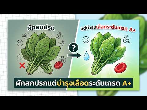 ผักสกปรกแต่บำรุงเลือดระดับเกรด A+