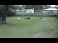 R/C/R Week #5 Racing