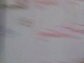 videos de casey comes out!!!! of my closet