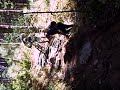 ForoMTB-entre veredas-cercedilla5 ForoMTB-entre veredas-cercedilla5