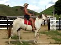 Cavalgada em Rosário da Limeira Cavalgada em Rosário da Limeira