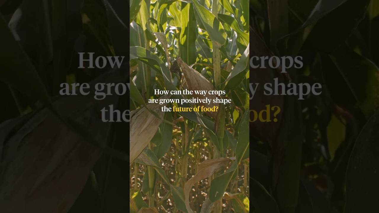 Paid content for @PepsiCo