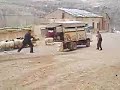 Shipping sheep in Turkey Shipping sheep in Turkey