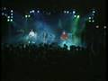 The Chameleons - Monkeyland live