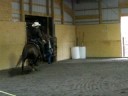 Knight Horsemanship Mounted Shooting