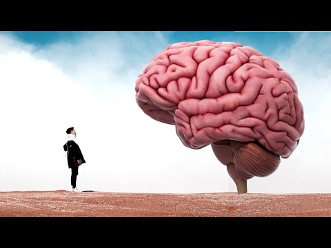 Alan Watts Audio: What If You Stopped Thinking All The Time?