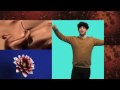 Timid Tiger Electric Island Official Music Video and Lyrics
