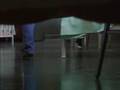  - MovieZen Video