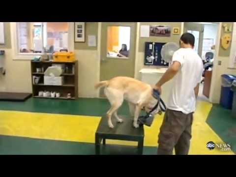 how to provide comfort